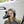 Go to the profile of Victoria Novikova