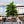 Go to the profile of The Street Tree