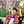 Go to the profile of Alkesh Kadam