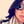 Go to the profile of Janet Anne