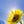 Go to the profile of Solar Panels