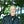 Go to the profile of Paul McGinley Carlin