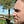 Go to the profile of C.T. Casberg