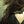 Go to the profile of Izzna Zahan