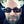 Go to the profile of Bertrand Maltaverne