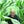 Go to the profile of Thomas J. Lee