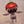 Go to the profile of Rogue Tomato