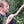 Go to the profile of chris berthelsen