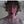 Go to the profile of Andrew Brown