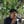 Go to the profile of Anu Sadasivan