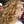 Go to the profile of Jessica White