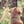 Go to the profile of MaryEllen Pyle