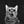 Go to the profile of Dmitry Kolodin