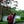 Go to the profile of Grace Adele Lxy
