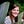 Go to the profile of Rachel Phillips