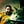 Go to the profile of Filipe Serra Carlos