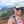 Go to the profile of Allison Rizzolo