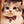 Go to the profile of SanaBuns