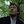 Go to the profile of Oleksandr Kaleniuk