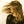 Go to the profile of Pamela Hilborn
