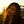 Go to the profile of Shreeya