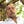 Go to the profile of Mark Hawkins