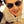 Go to the profile of matthew deiters