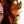 Go to the profile of Diane Mezzanotte