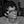 Go to the profile of Shantanu Nagras