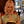Go to the profile of Kristen V Bateman