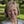 Go to the profile of Frances Sheehan