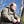 Go to the profile of Jonas Öberg