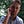 Go to the profile of Adam Belz