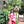 Go to the profile of Roopa Behari