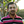 Go to the profile of Ram Iyer