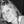 Go to the profile of Sofie Verstreken