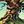 Go to the profile of Angry Orchard