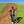 Go to the profile of The Dream Pedlar