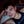 Go to the profile of Eric Evans