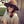 Go to the profile of Maggie Morris