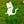 Go to the profile of White Feather