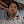 Go to the profile of Noah J Nelson