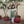 Go to the profile of Shivani Maheshwari