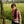 Go to the profile of HongNga