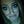 Go to the profile of Karissa