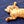 Go to the profile of Daily Not Evens