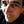 Go to the profile of Brian Ryer