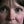 Go to the profile of dee harvey