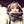 Go to the profile of Tessa MacDuff Pupius