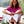 Go to the profile of joyce maynard